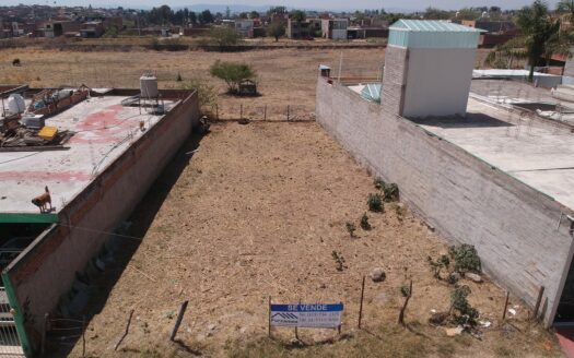 Lote San Martín