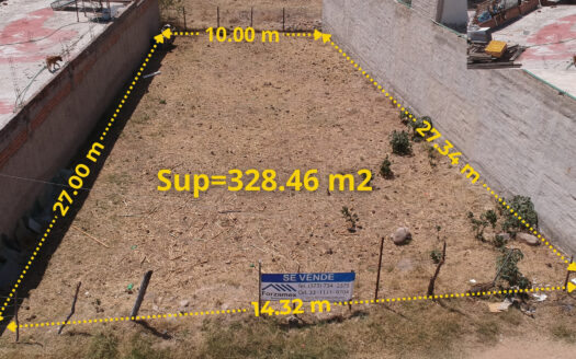 Lote San Martín